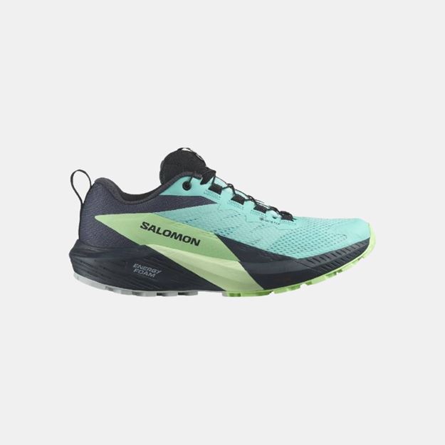 Picture of SALOMON - SENSE RIDE 5 GTX W
